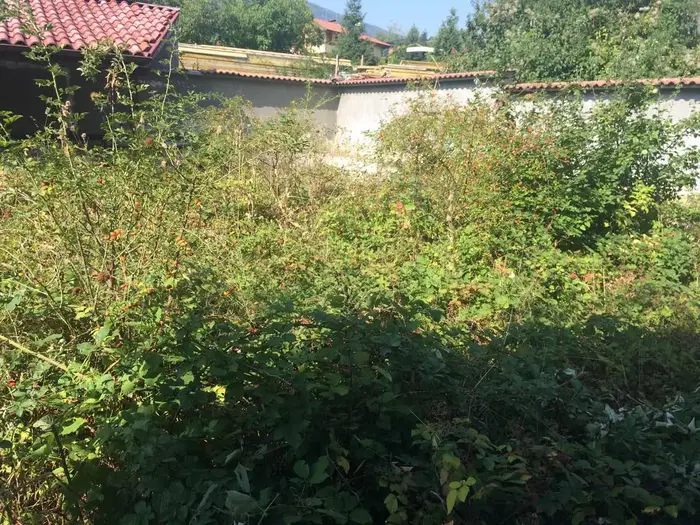 Разчистване на силно претрупани и занемарени имоти