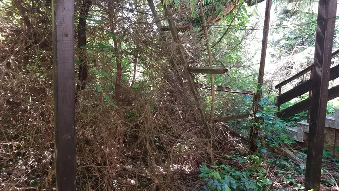 Почистване и извозване на апартаменти в София