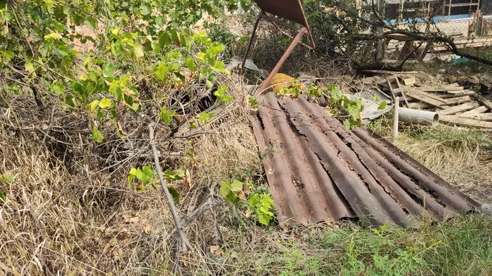 Основно почистване в София