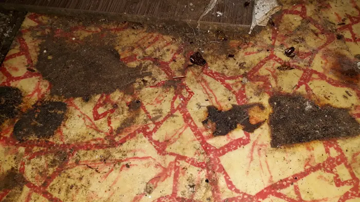 София финално почистване