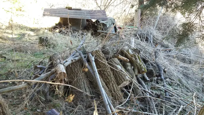 Работа при силно занемарени и замърсени жилища