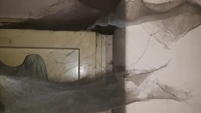 София извозване от таван