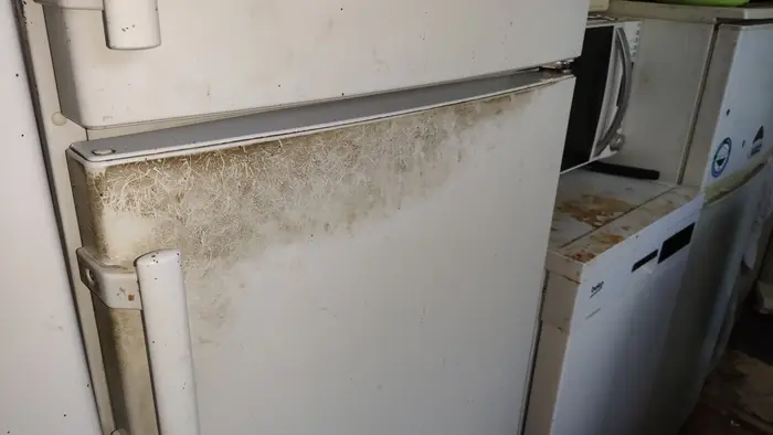 София почистване след почина?