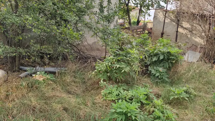 София изнасяне на тежки мебели