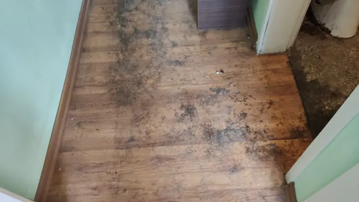 Освобождаване на таван от стари предмети