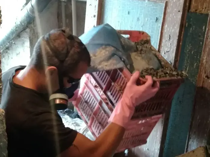 Основно изчистване преди нанасяне