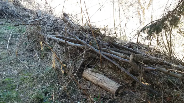 Пълно освежаване на жилище