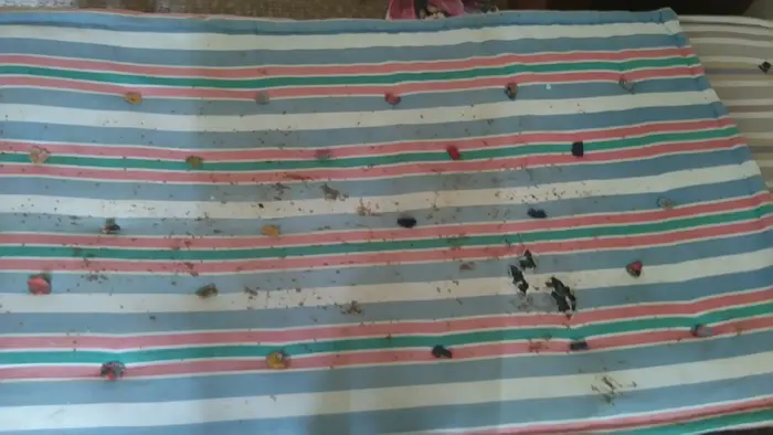 Почистване преди нанасяне в София