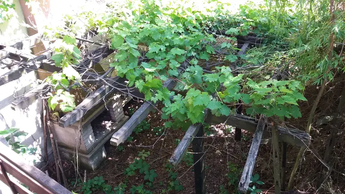 София разчистване след загуба