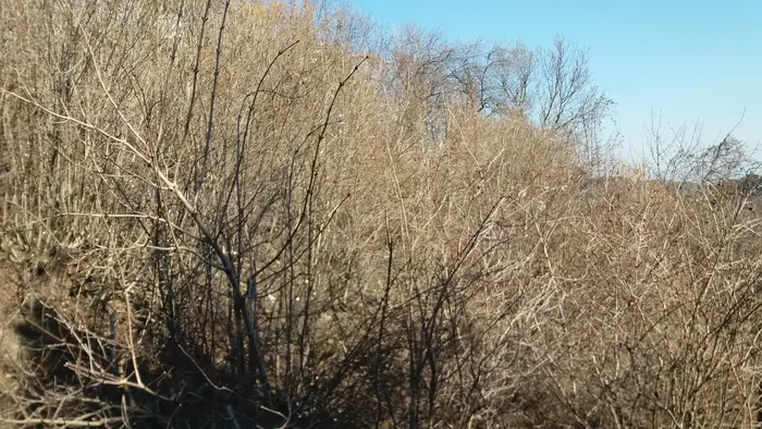 Изнасяне на обемни мебели без щети