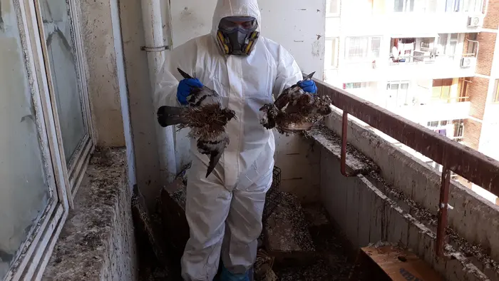 Изнасяне на стари мебели от апартамент или къща