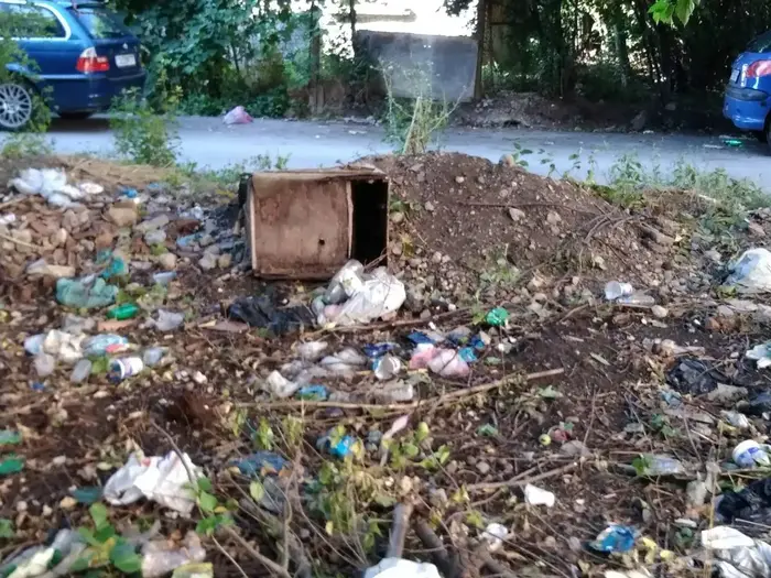 Разчистване и извозване без ангажимент за клиента